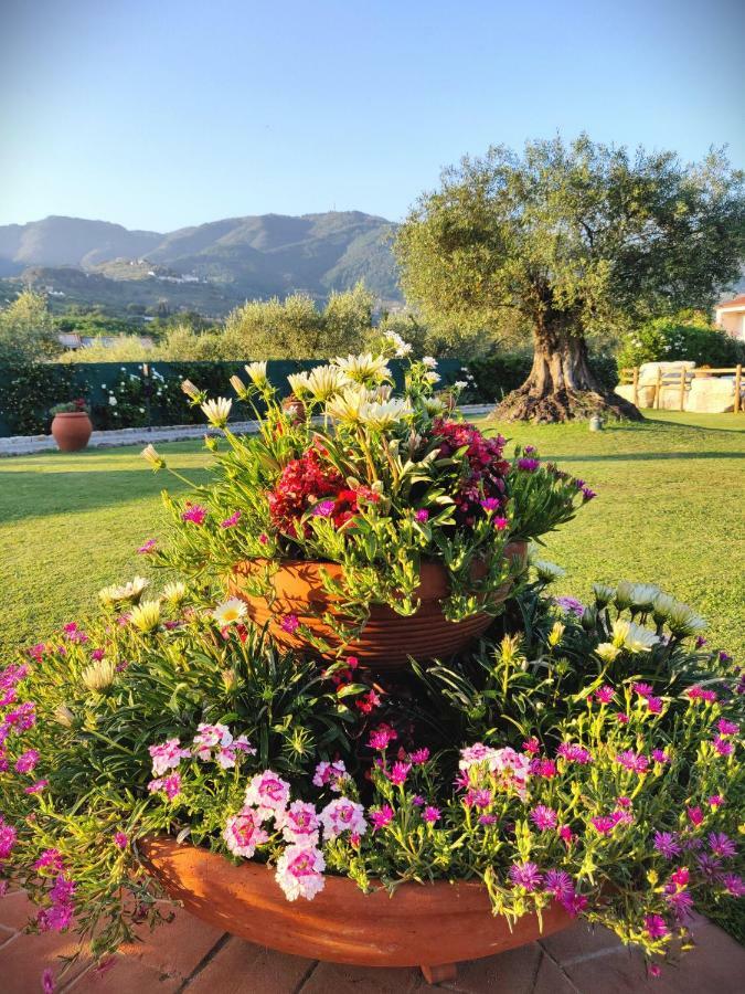 Tuscan Villa Exclusive Use Of Private Pool A/C Wifi Villa Briciola Capannori Luaran gambar